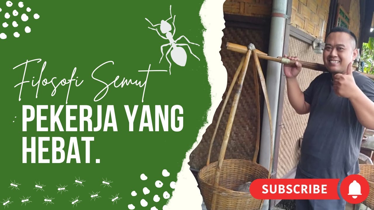 Filosofi Semut dalam Bekerja Part 5 selesai - YouTube