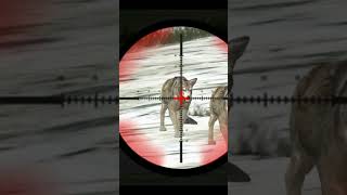Kill 2 Wolf Wild Deer Hunting Games screenshot 5