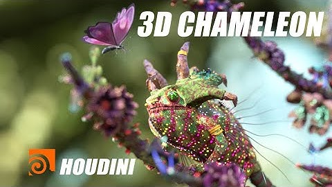 3D Chameleon | Houdini FX + KARMA