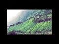 محمية عتمه محافظة ذمار
