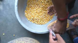 Maize exporter India to Bangladesh, Malaysia, Vietnam, Singapore etc.