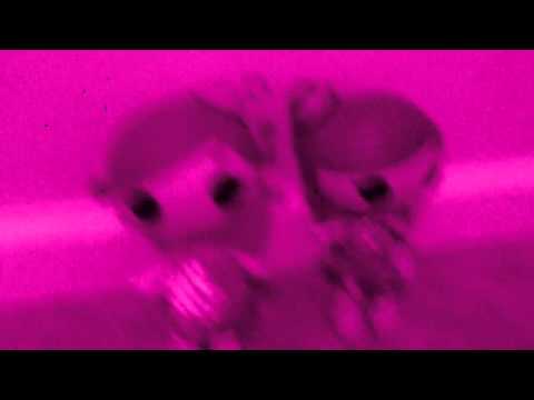 LaLaLittles Shake It