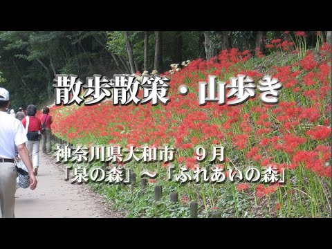 9月 ヒガンバナを求めて「泉の森～ふれあいの森」