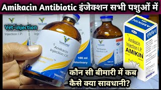 Vet-injection:-Amikacin Antibiotic use in Animals||Konsi Disease mein kab kase lagaye||Amikin/Venkac