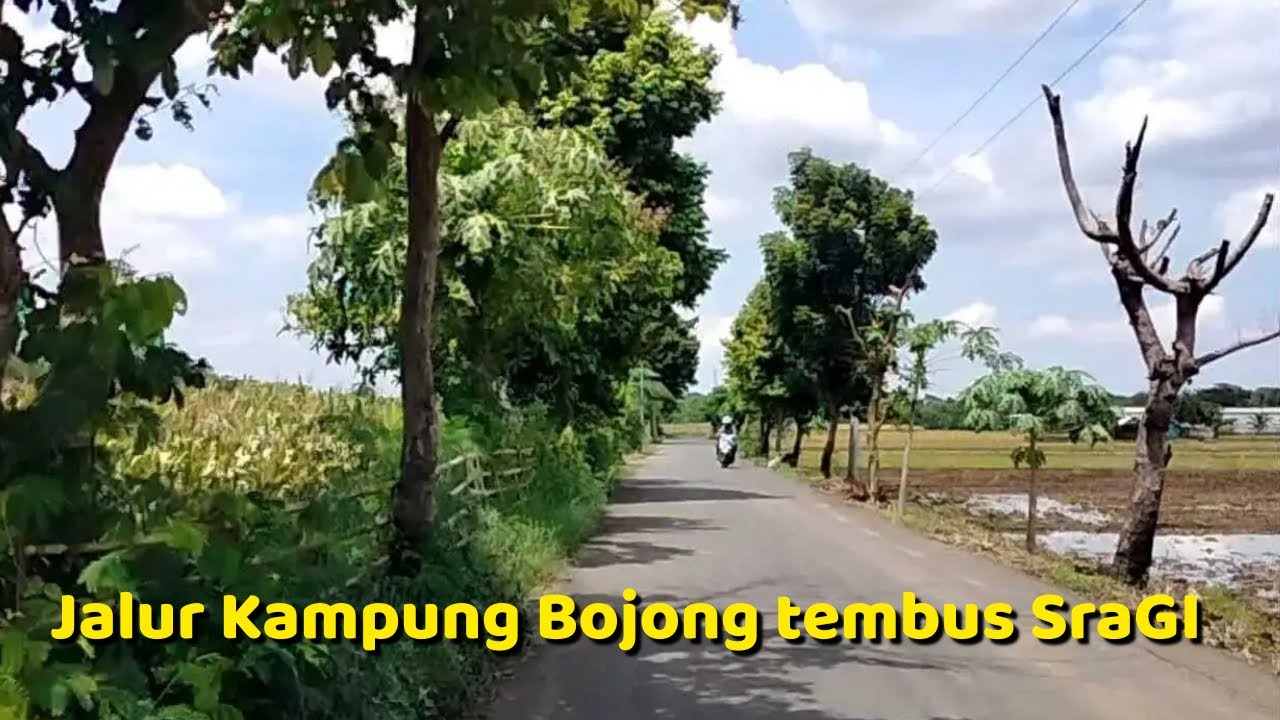 JALUR PEDESAAN ALTERNATIF BOJONG - SRAGI