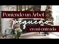 Poniendo un Árbol PEQUEÑO en mi Entrada