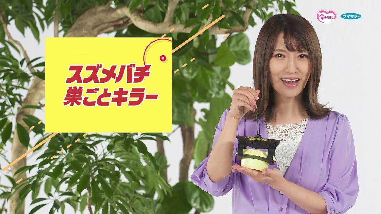 スズメバチ巣ごとキラー 1個入｜殺虫剤｜フマキラー製品情報サイト