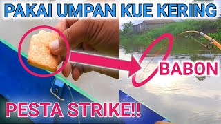 mancing ikan wader sungai tepat di sarangnya full strike