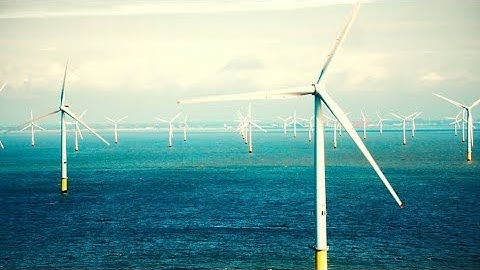 Our LEGO Responsibility: Protect the Planet for Future Generations