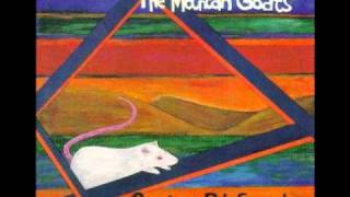 The Mountain Goats - Seeing Daylight