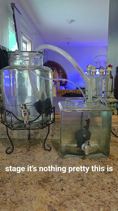 Follow along! watch as I build a two jar pico reef and macro algae system! #picoreef