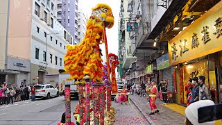 Chinese New Year 2024 Lion Dance Performance, Hong Kong 甲辰 龍年 年初一舞獅表演