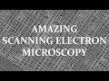 What is the electron microscopy? Amazing nano view of microchip, lotus leaf surface, butterfly wing