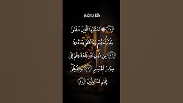 سورة الصافات احشروا الذين ظلموا وأزواجهم وماكانوا يعبدون من دون الله فاهدوهم إلى صراط الاية٢٢ إلى٢٤