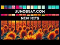 Capture de la vidéo Junobeat New Hits May 2024