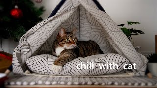 Cat Needs More Sleep~ Chill | Lofi | Beats | Relax | Calm | Study | Work | Sleep