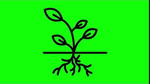 Animated Root Icon on Green Screen With Pop-up Sound