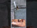 Column of BMP-3s Wiped Out by Drones in Kursk
