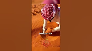 Chàng trai phát hiện sinh vật cá cát sa mạc #shorts