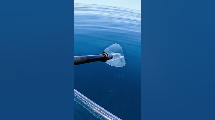 Bull Shark Stalked Me While On Transparent Kayak..