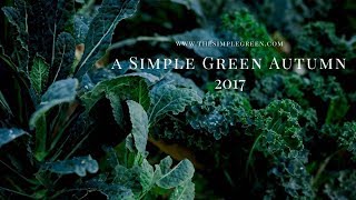 A Simple Green Autumn | THE SIMPLE GREEN