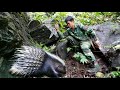 Go into the wilderness, traces of wild animals left, traps, thorns of wild animals everywhere