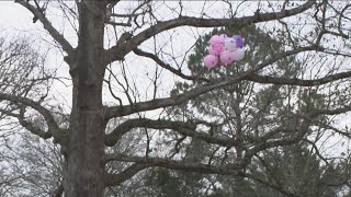 Family, friends remember 4-year-old killed by mom, then burned in arson fire