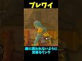【ブレワイ】護衛編 #ゼルダの伝説 #zelda #ゼルダの伝説ブレスオブワイルド #ゼルダの伝説ティアーズオブザキングダム