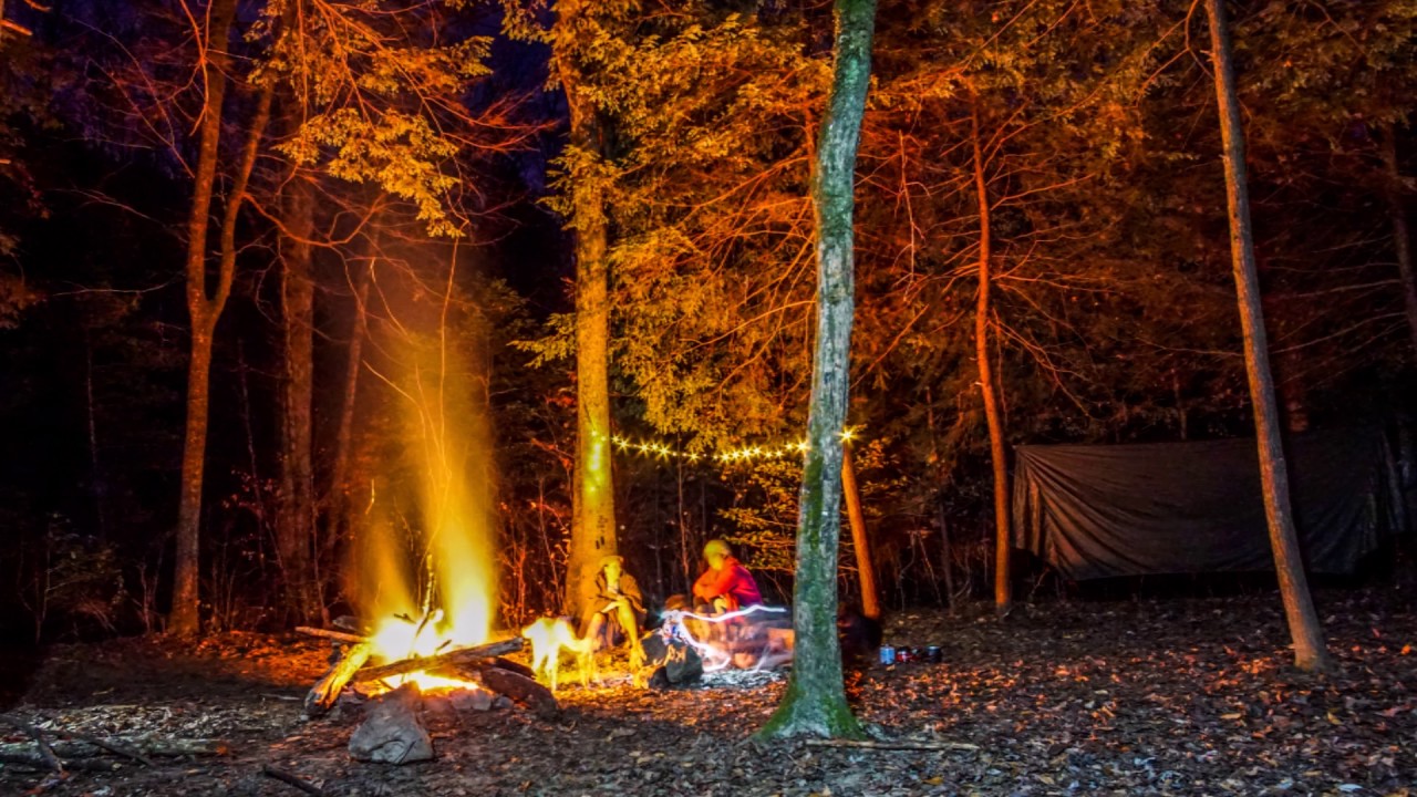 Sipsey Wilderness Alabama January 1415, 2017 YouTube