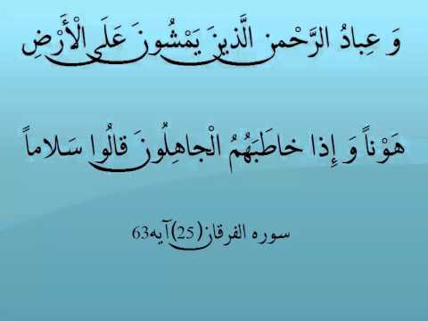 سالک نباید با مردم عوام سر و کل ه زده و مجادله کند 1