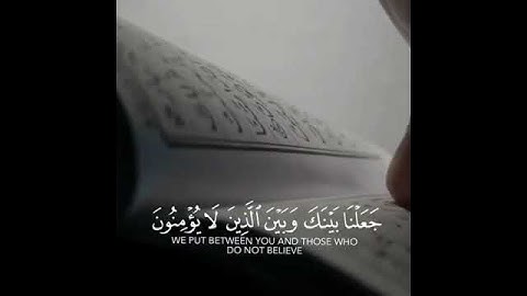 حالات انستقرام - تلاوات قصيرة - حالات واتس دينية - قرآن - Quran