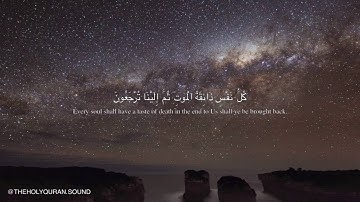 سورة العنكبوت - من الاية ٥٦ إلى ٥٩ | surat al-eankbut ' 56 - 59