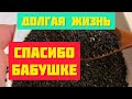 Бабушка 93 года посоветовала для Сосудов, Поджелудочной, разжижает кровь, даже от Бессонницы