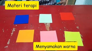 Materi Terapi Warna|Aktifitas Anak Spesial #anakspesial
