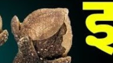 03 जून ज्येष्ठ मंगलवार अष्टमी तिथि इस जगह फेंक देना 3 लौंग बनोगे|| Pradeep Ji Mishra