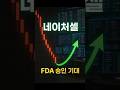 네이처셀,반등 후 다시 급락! 기회인 이유 알려드림