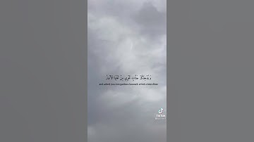 سورة التحريم ( رقم الآيات ٨ و ٩ )