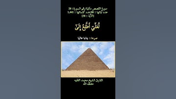 سورة القصص، [ الآية: 38] القارئ الشيخ محمد الفقيه حفظه الله