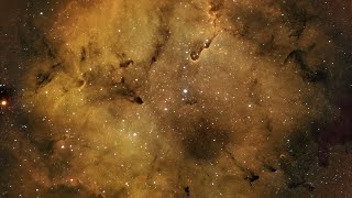 Elephant Trunk Nebula