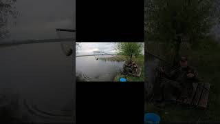 От ТАКИХ Карасей удочка в дугу #рыбалка2024 #fishing #рыбалка