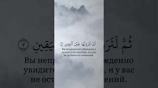 Qur’an | Abu Hatim | surah 102 At-Tacasur