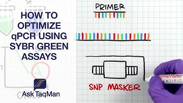 How to Optimize qPCR using SYBR Green Assays - Ask TaqMan #38