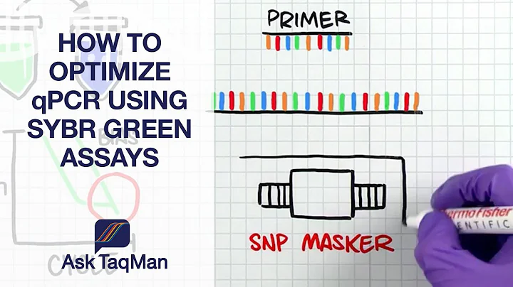 How to Optimize qPCR using SYBR Green Assays - Ask TaqMan #38