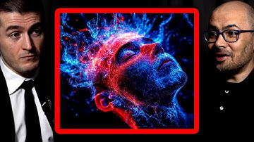 Is consciousness a quantum computation? | Demis Hassabis and Lex Fridman