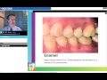 Managing the Relationship Between the Teeth and the Oral Environment