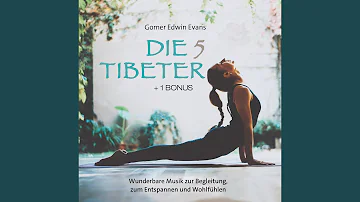 Der 1. Tibeter