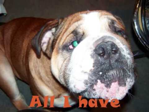 Benaiah the Bulldog - Repent for the Lord is Coming! New Hope Assembly of God Pastor Darold Bunce