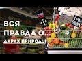 Вся правда о… дарах природы