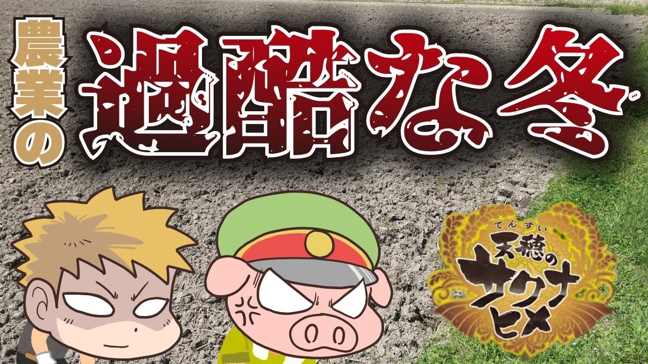 【天穂のサクナヒメ】農業ガチ勢と2人で米育ててみた#4