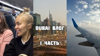 vlog стюардессы: отпуск, рум тур отеля, шопинг carrefour, day to day, рынок в дейре, обзор покупок